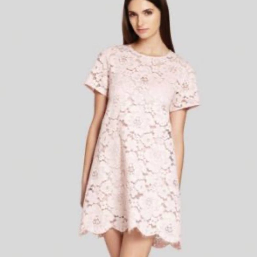 BCBG MaxAzria Dress Lace Swing Dress with Slip- Beautiful in Blush/Pink